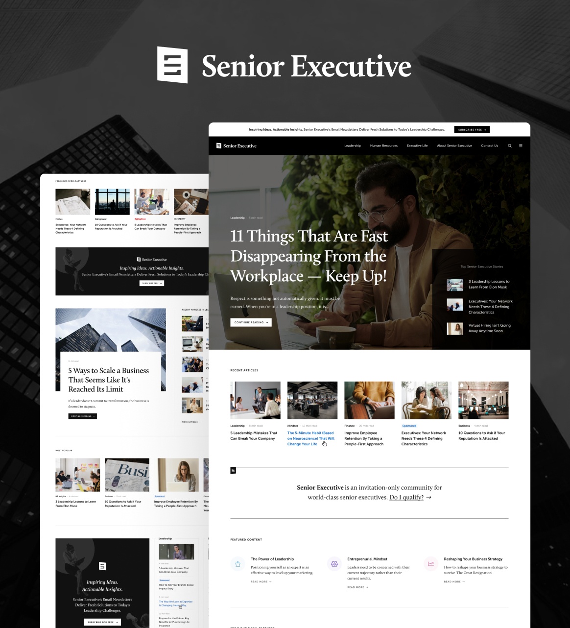 Creative direction, branding, and a complete website design system for SeniorExecutive.com